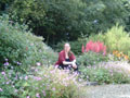 celtic park - me in the garden.jpg